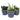 Delphi Midnight Plant Pot - Assorted Designs - Bumble Living