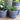 Delphi Midnight Plant Pot - Assorted Designs - Bumble Living