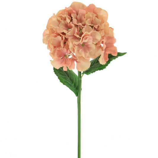 French Hydrangea Faux Flowers- Peach Blush - Bumble Living