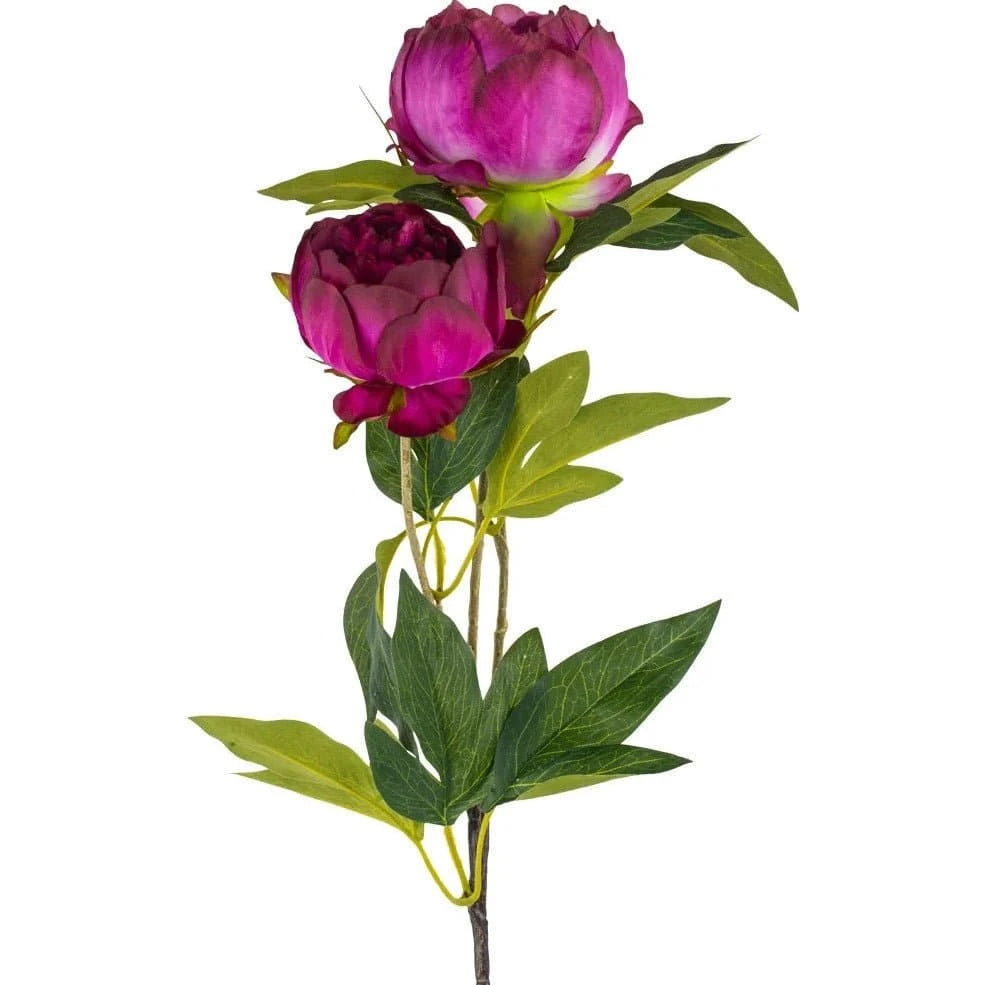 Peony Spray Dark Pink - Bumble Living