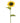 Sunflower Silk Single Faux Flower- Yellow - Bumble Living