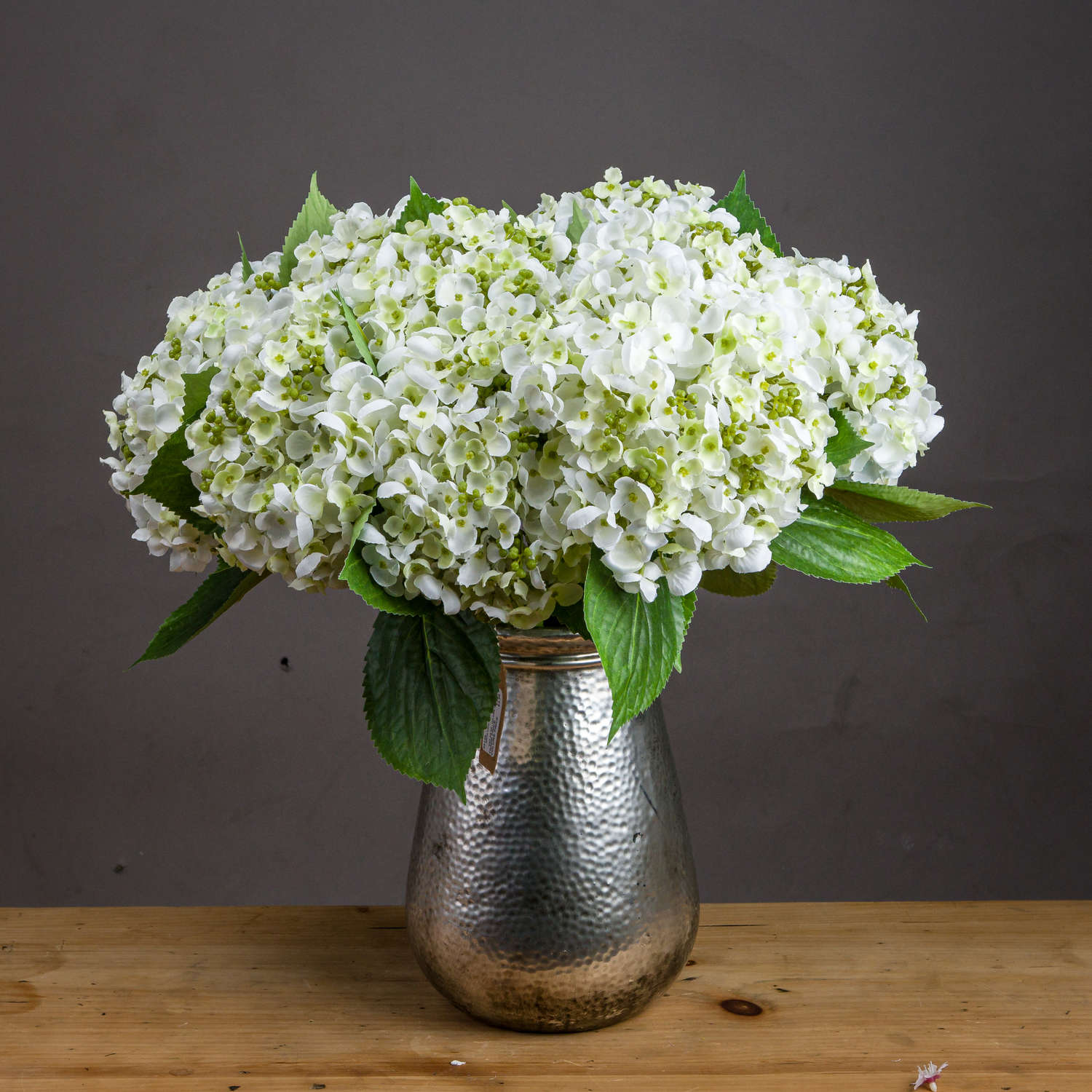 White Lace Cap Hydrangea - Bumble Living