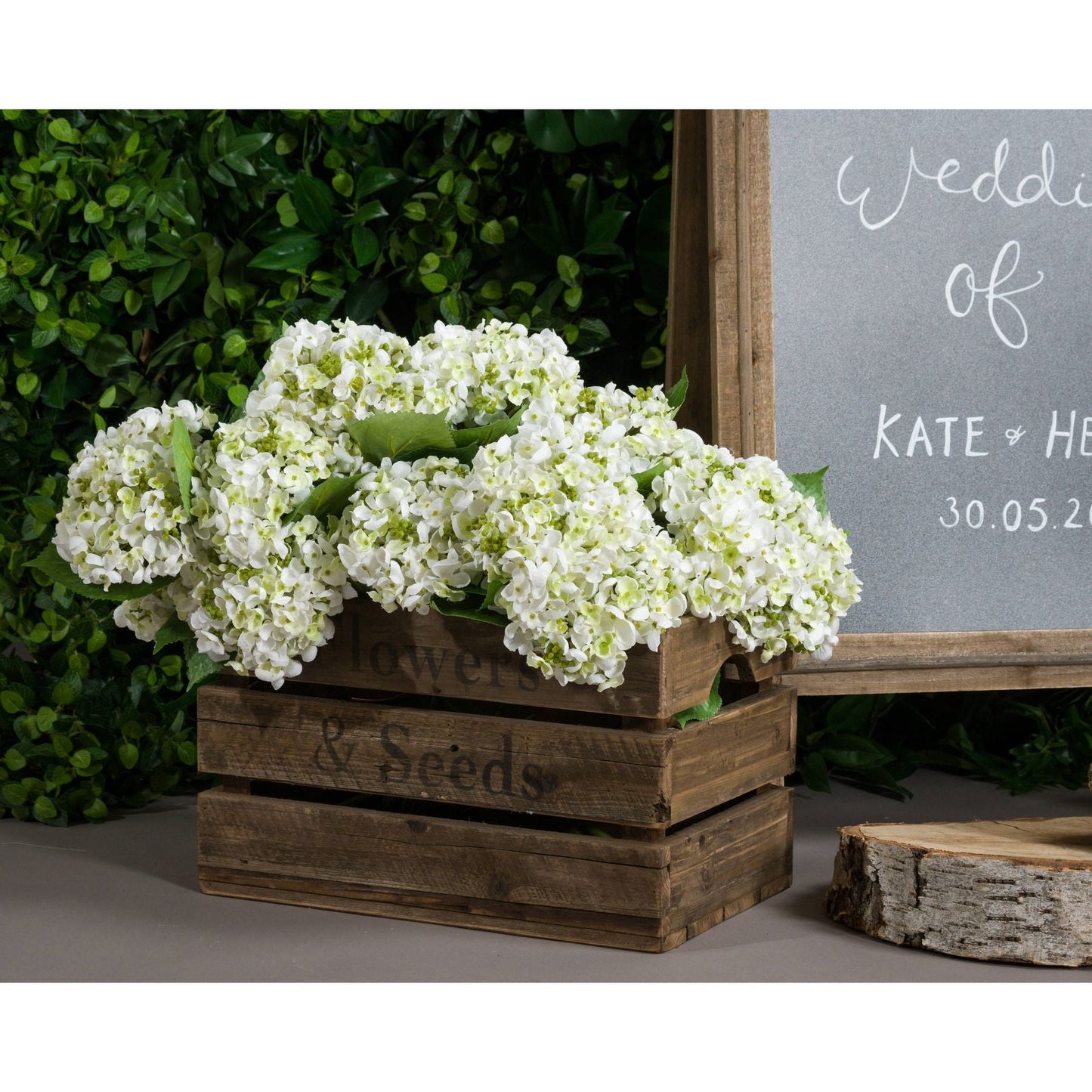 White Lace Cap Hydrangea - Bumble Living