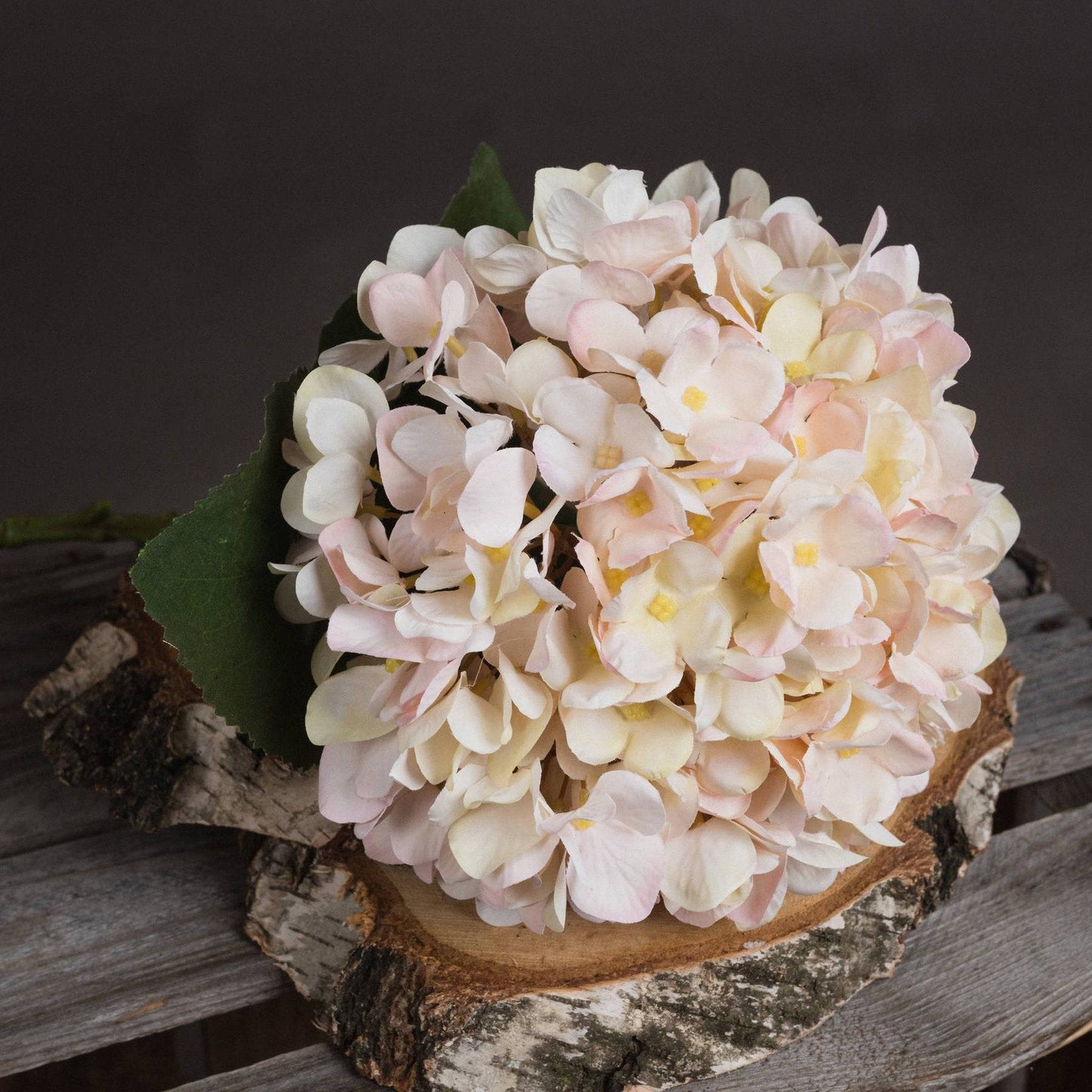 Autumn White Hydrangea - Bumble Living