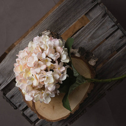 Autumn White Hydrangea - Bumble Living