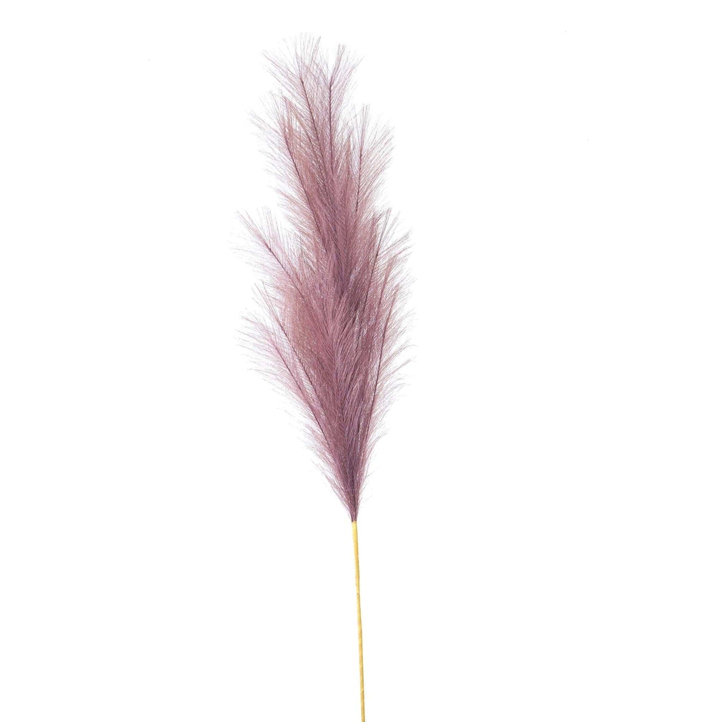 Lilac Large Faux Pampas Grass Stem - Bumble Living