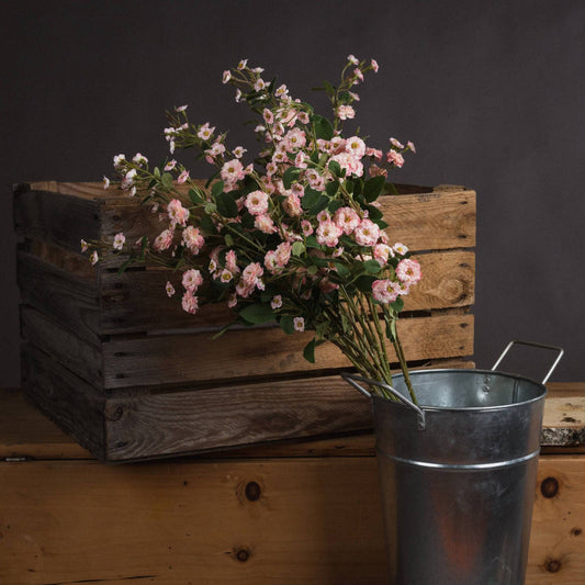 Pink Wild Meadow Rose - Bumble Living