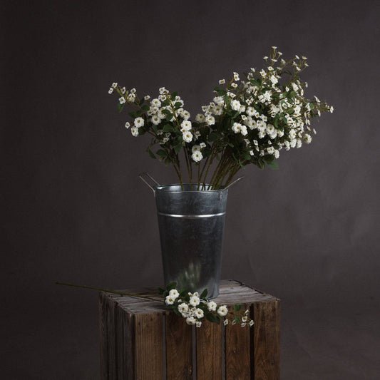 White Wild Meadow Rose - Bumble Living